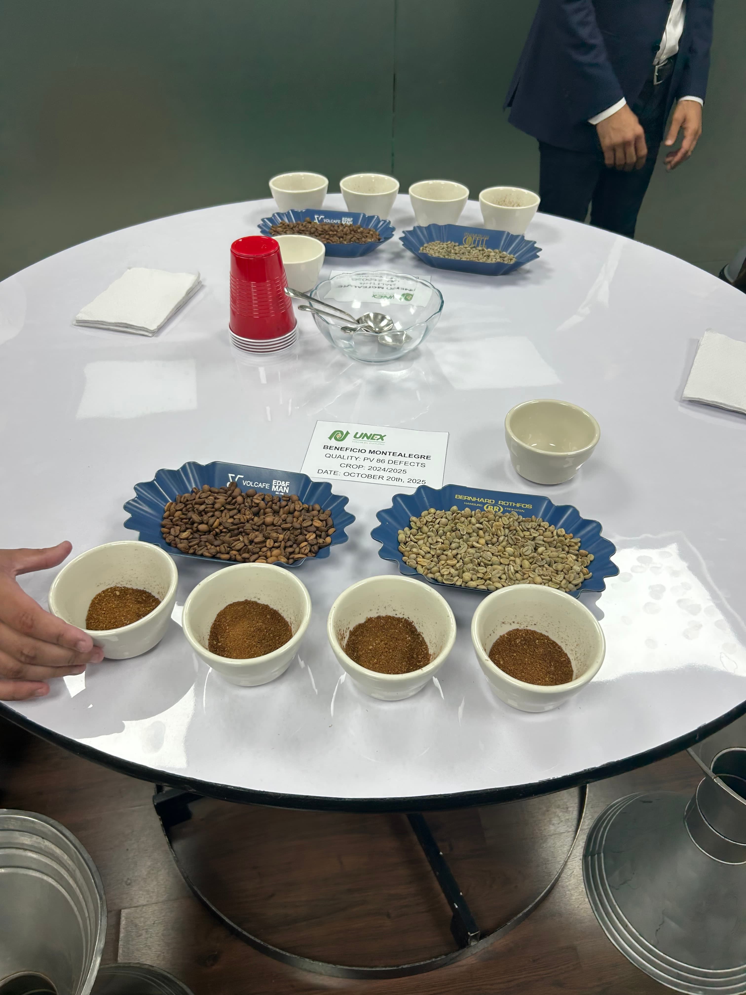 Green and roasted coffee samples at a cupping table